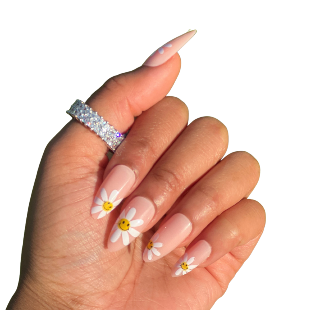 Daisies (RTS)