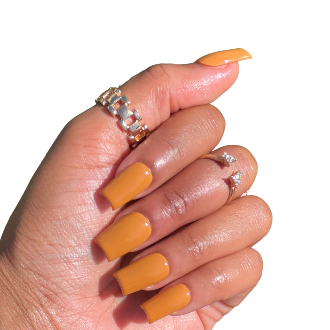 Butternut