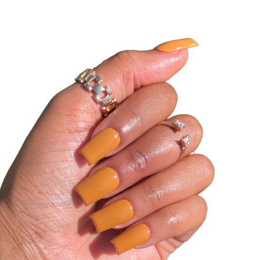 Butternut