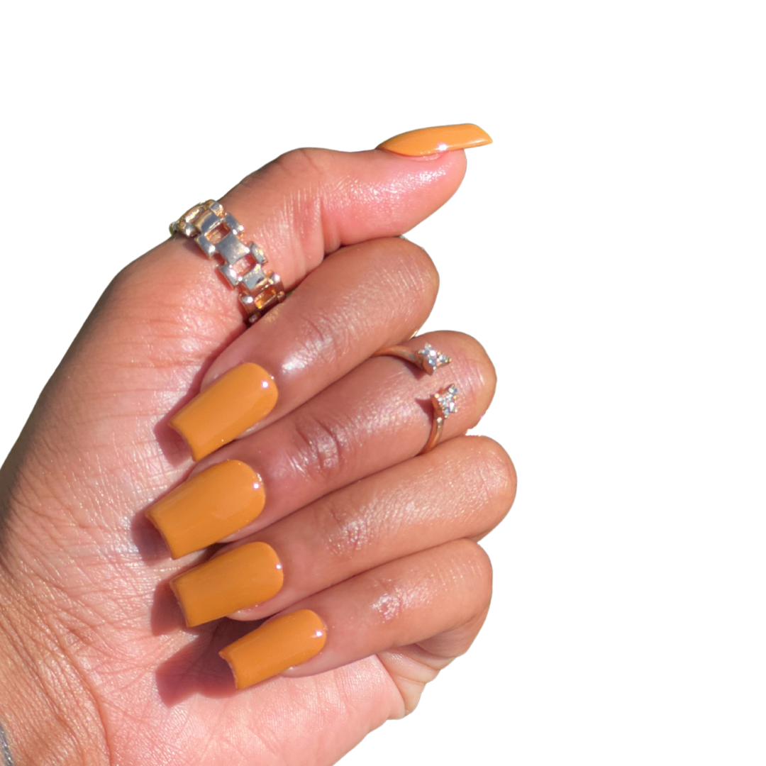 Butternut