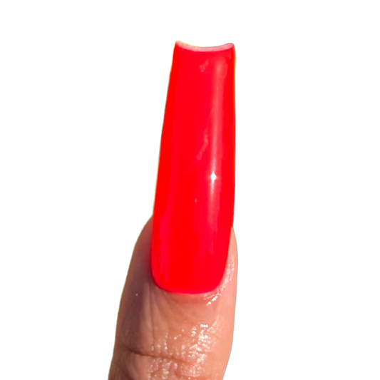 Rum Punch